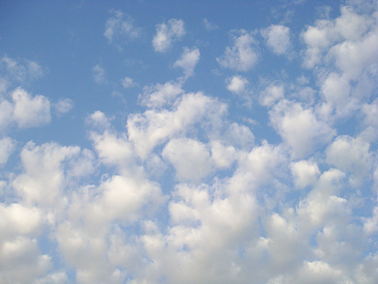 DSC09003_副本.jpg