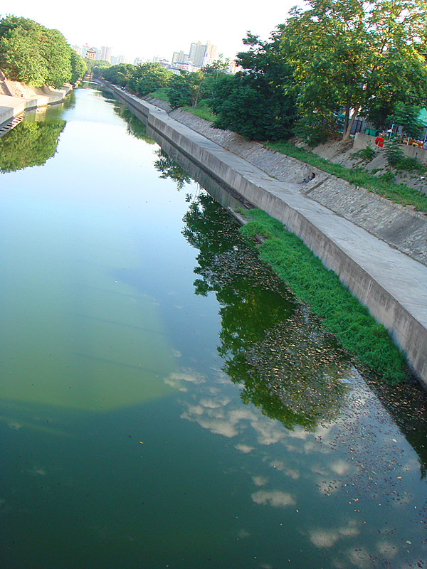 DSC09000_副本.jpg