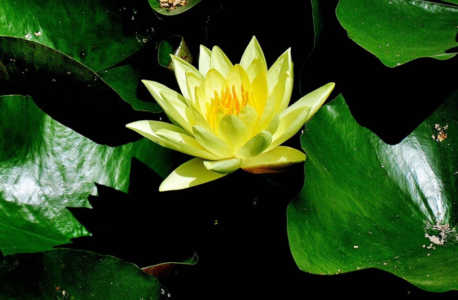 DSC_0030.jpg