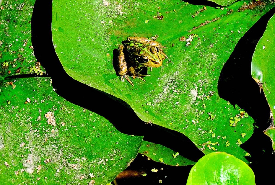 DSC_0304.jpg