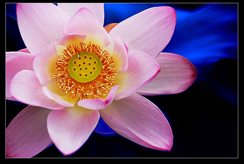 HN7A8038_光影_1.jpg
