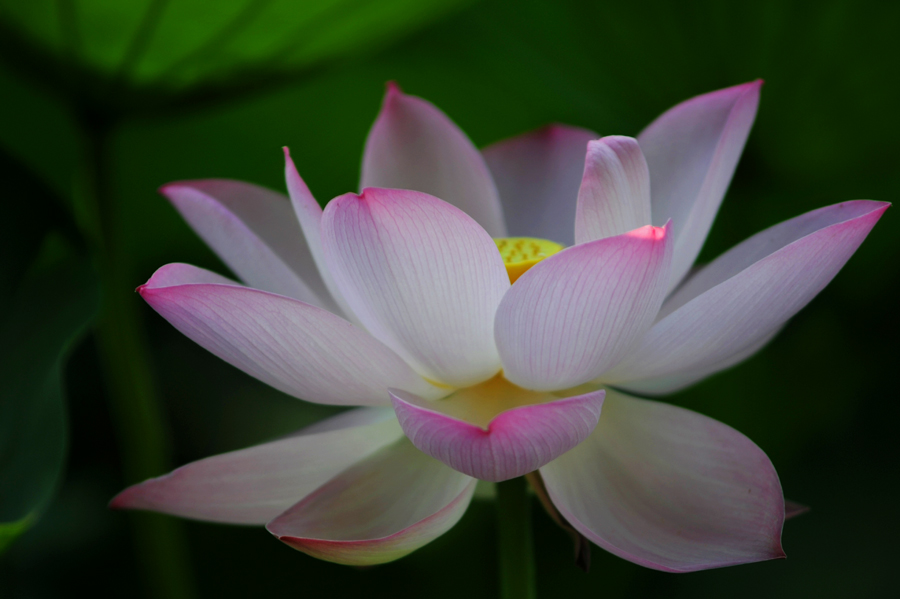 DSC_7320.jpg