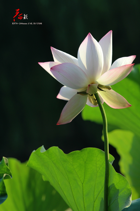IMG_6670_副本.jpg
