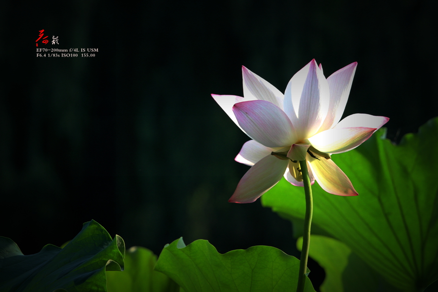 IMG_6687_副本.jpg