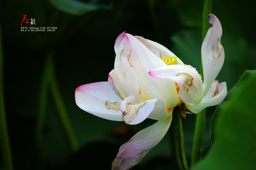 IMG_6680_副本.jpg