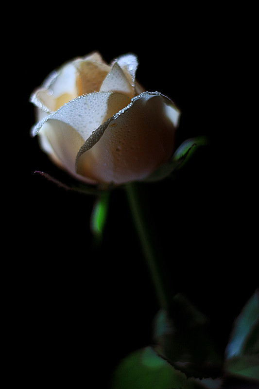 IMG_2902_副本.jpg