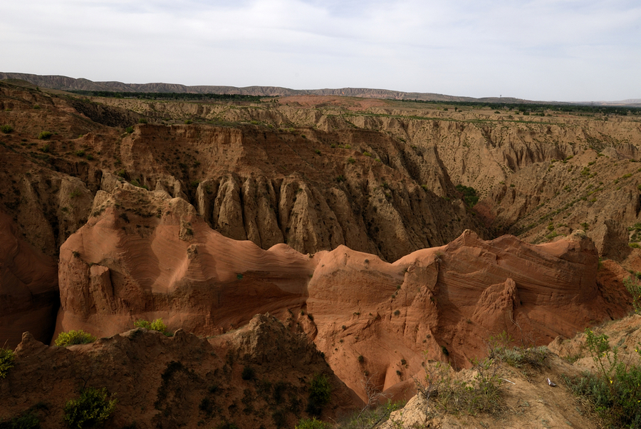 _DSC0032.jpg