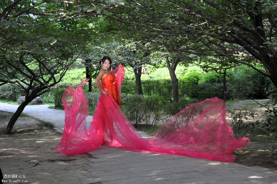 DSC_0316.JPG