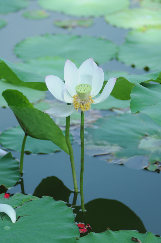 DSC_0569_副本.jpg