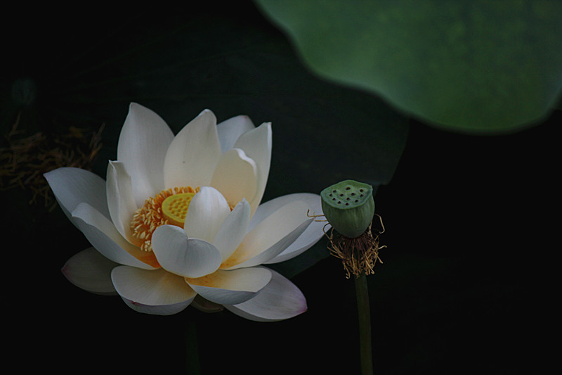 IMG_7834_副本.jpg