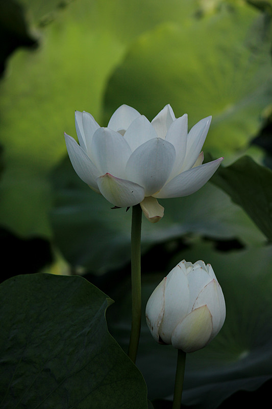 IMG_7861_副本.jpg