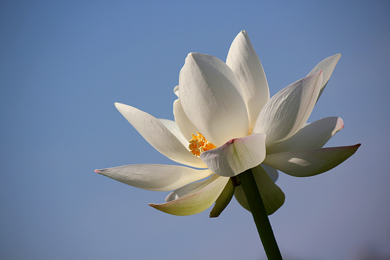 IMG_7892_副本.jpg