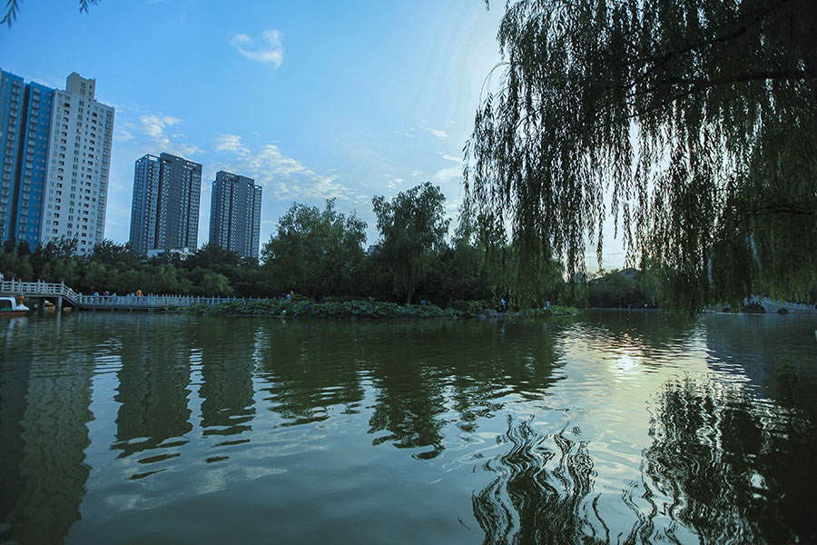 20130630_1449.jpg
