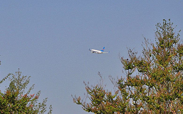 DSC_0013_副本.jpg