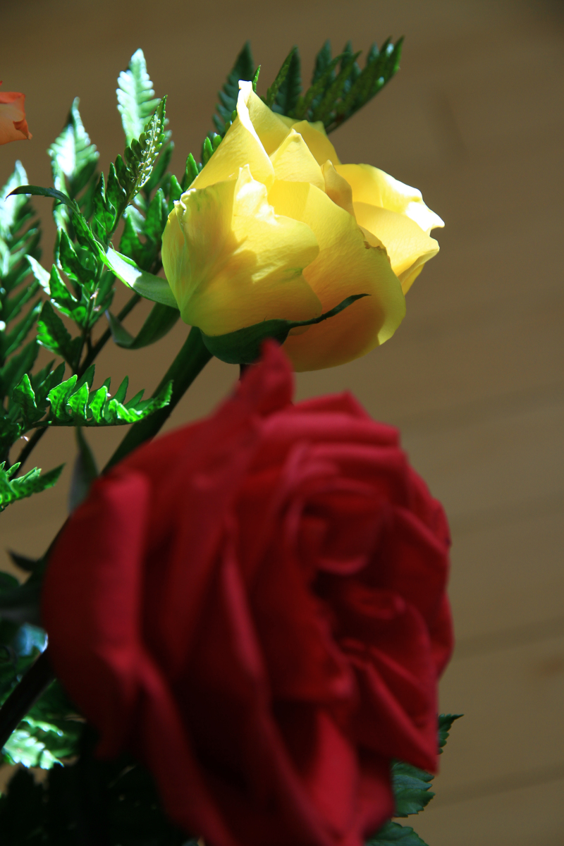 IMG_9449.jpg