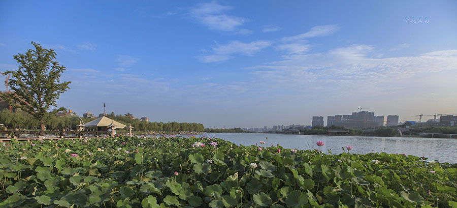 20130701_1537.jpg