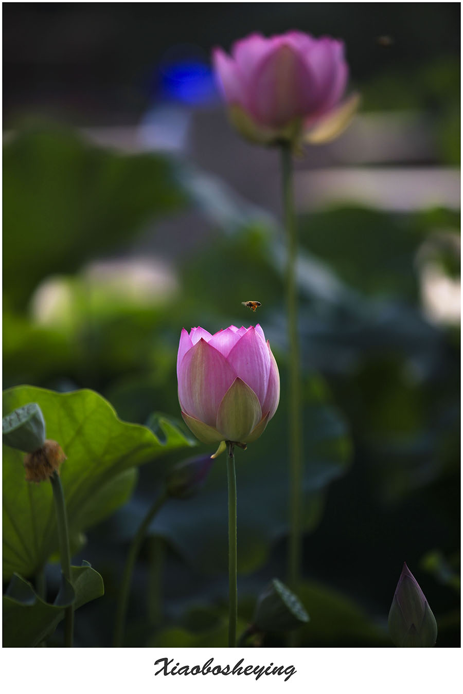 20130701_1555.jpg