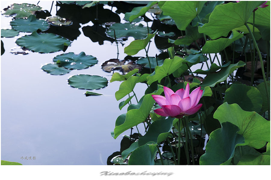 20130703_1606副本.jpg