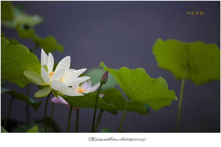 20130703_1616副本.jpg