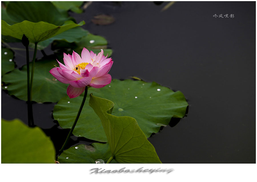 20130703_159122jpg副本副本.jpg