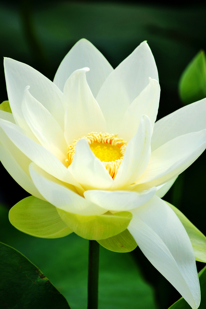 DSC_1360副.jpg