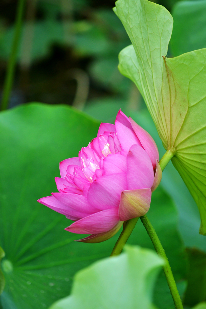 DSC_1367000.jpg