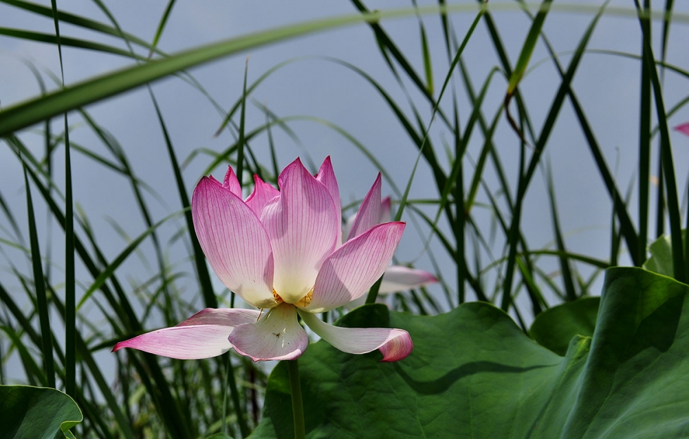 _DSC6506副本.jpg