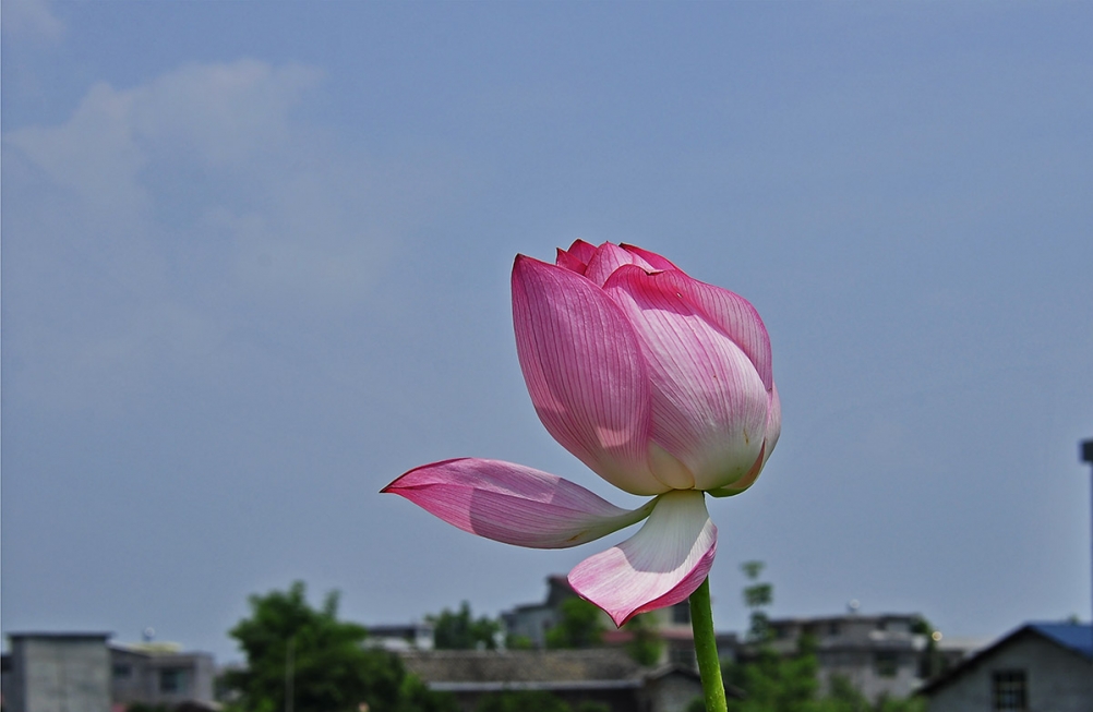 _DSC6481副本.jpg