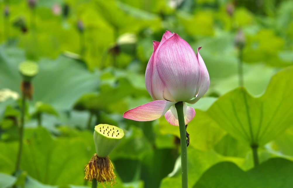 _DSC6503副本.jpg