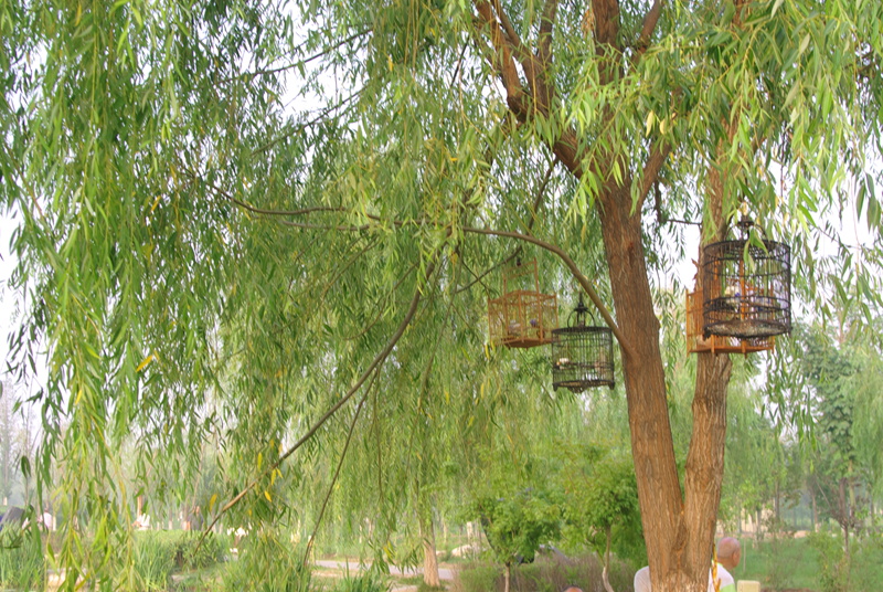 IMGP6195.jpg