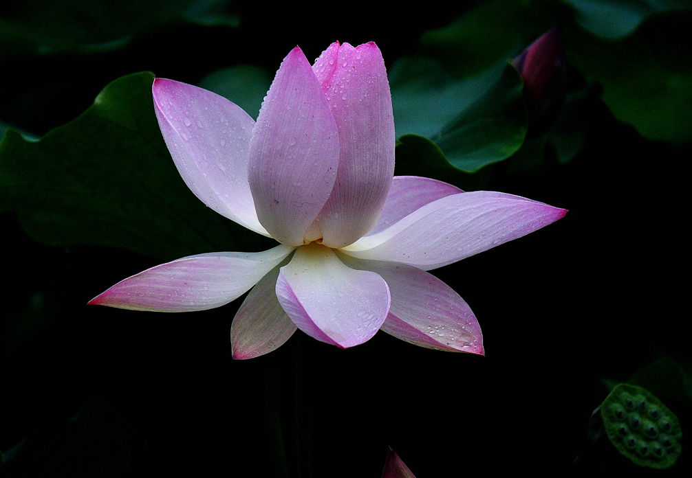 DSC_0506.jpg