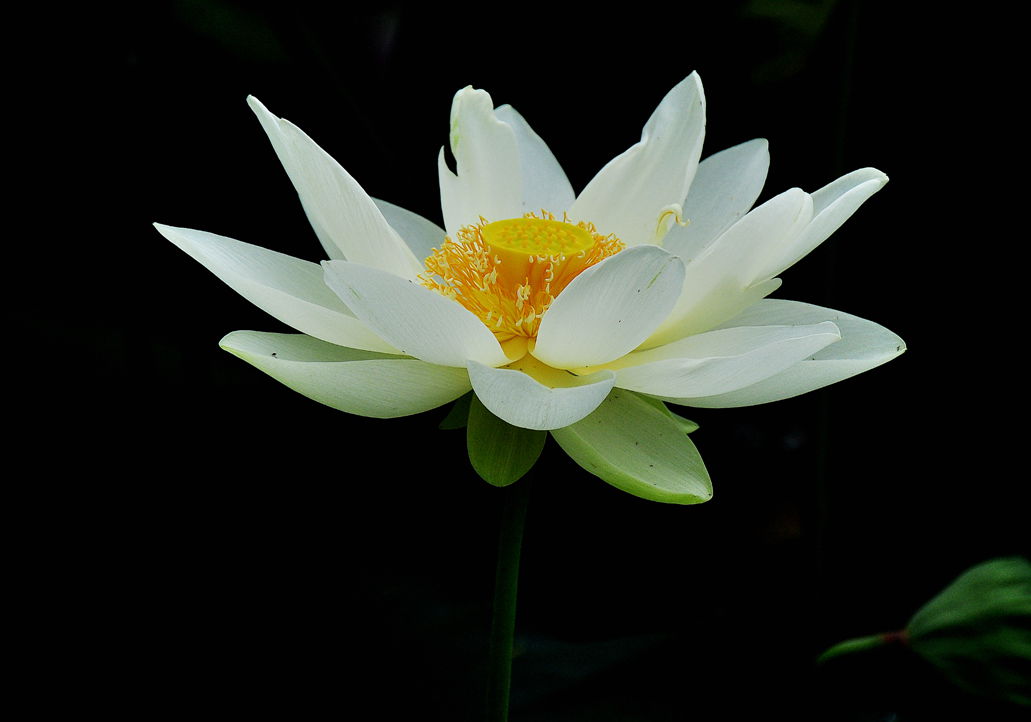 DSC_0631.jpg