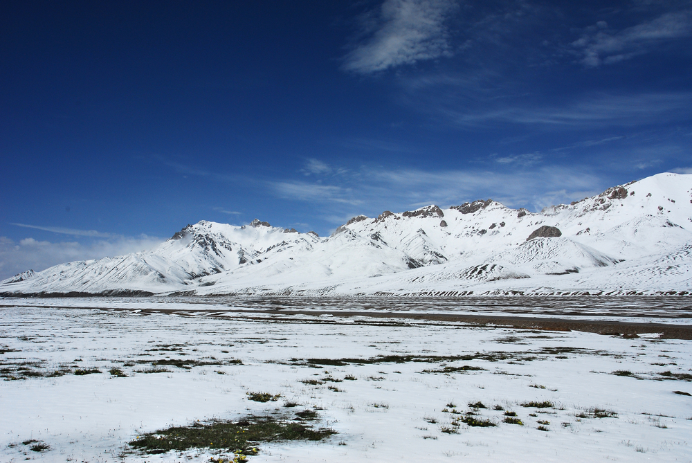 DSC_0392.JPG