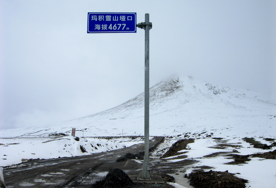DSCN2768.JPG