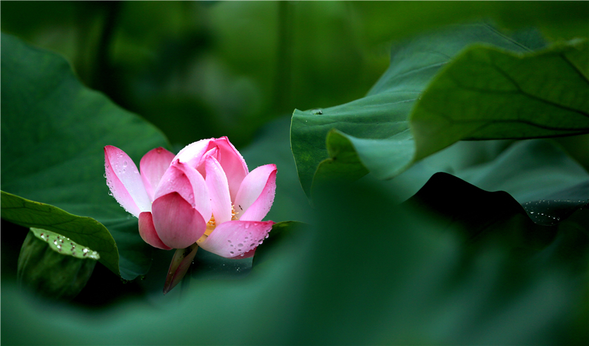 美荷032.jpg