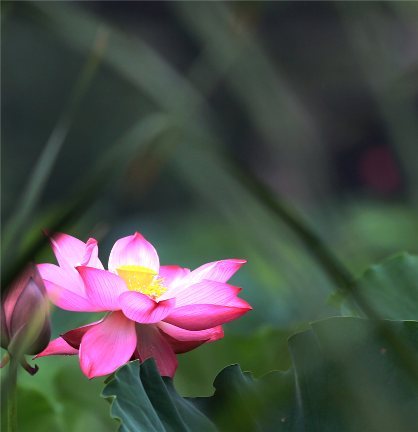 美荷035.jpg