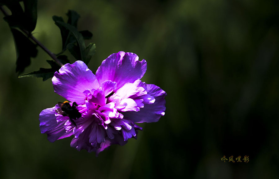 20130707_1912副本.jpg