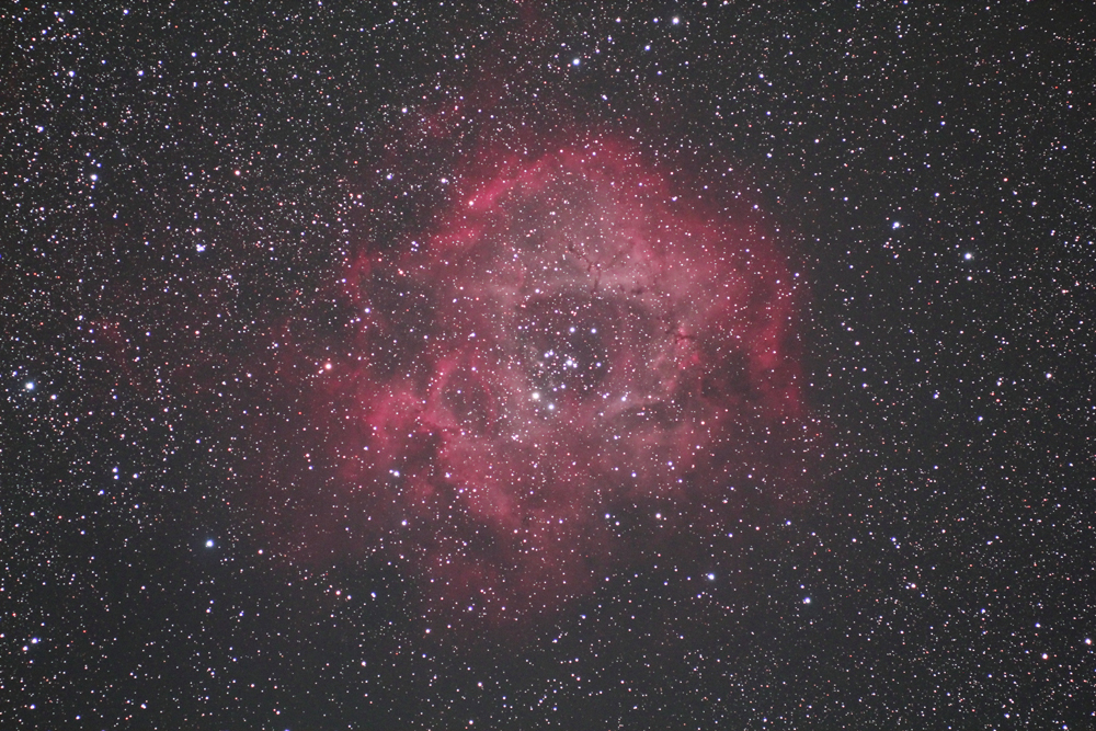 sample4_zoom.jpg