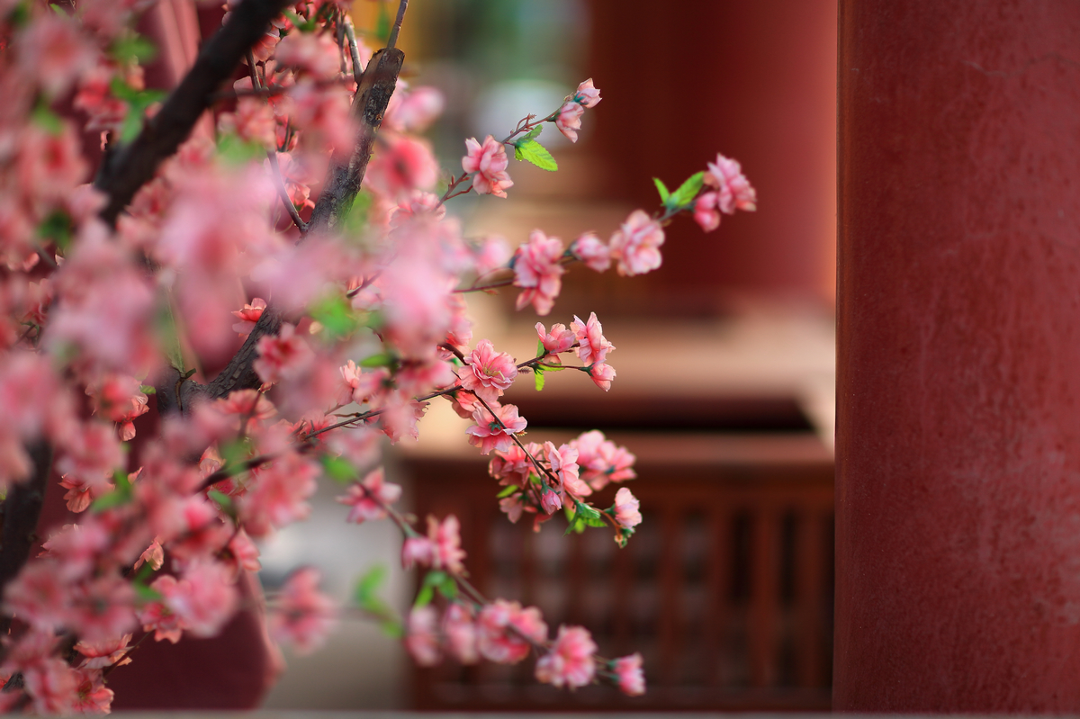 麻豆豆000042.jpg