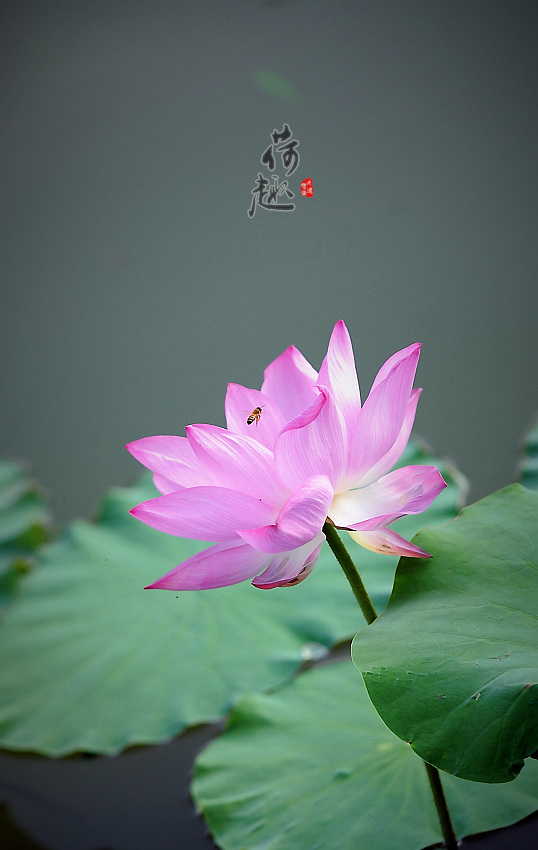 12_副本.jpg
