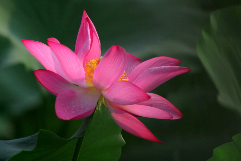 IMG_8568 拷贝.JPG