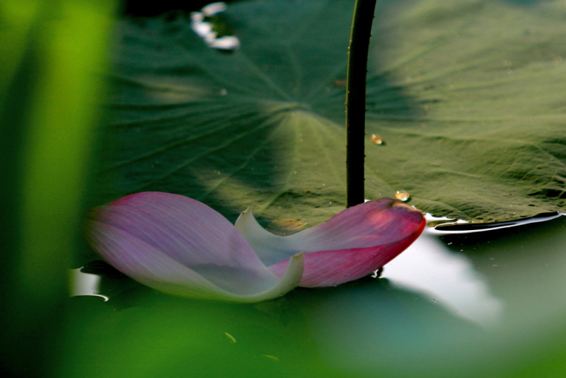 IMG_8572 拷贝.JPG
