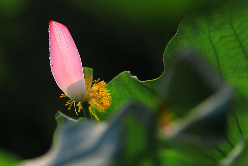IMG_8580 拷贝.JPG