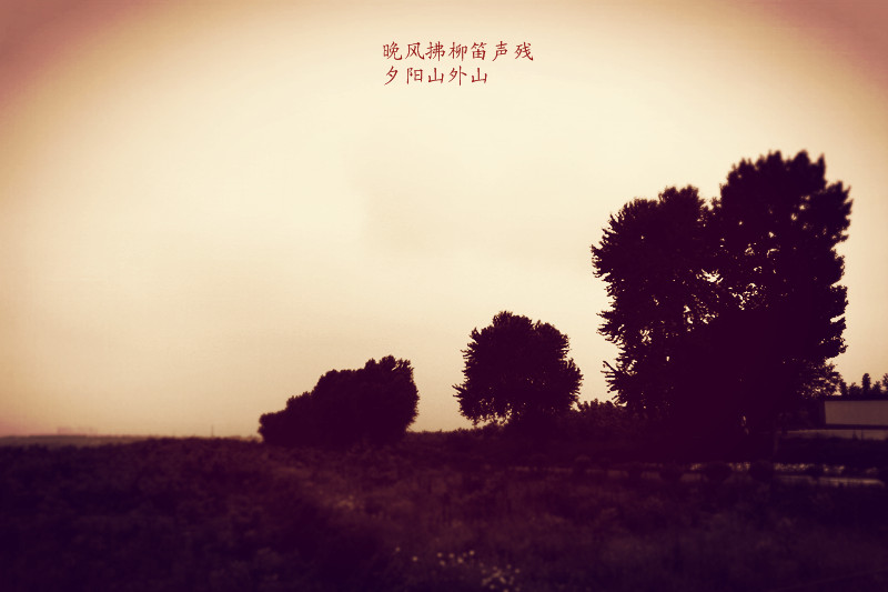 IMG_3940_副本.jpg