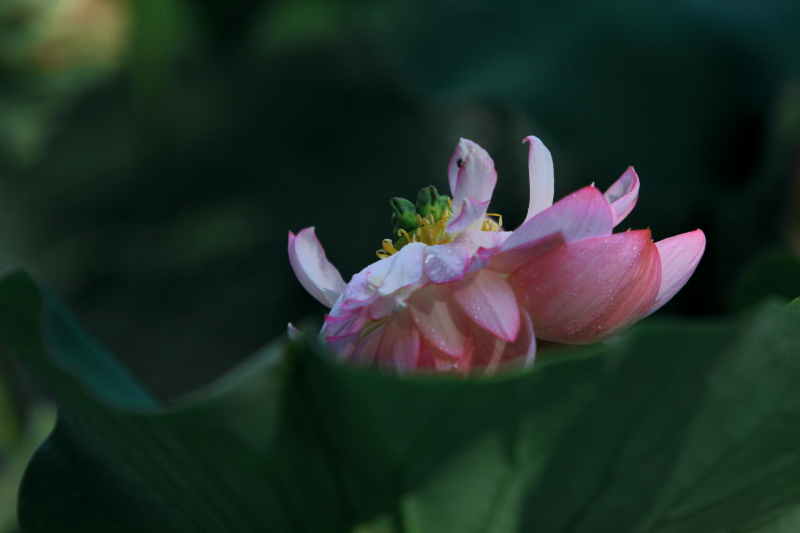 IMG_8613.JPG