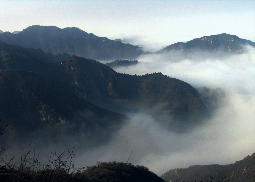 CRW_0064.jpg