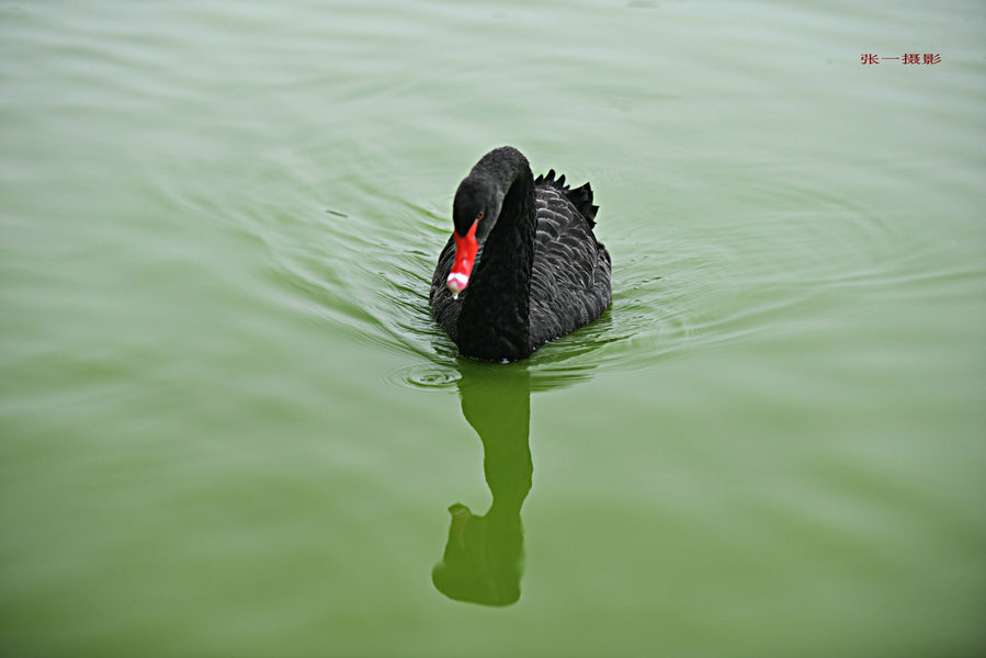 DSC_0601_副本.JPG