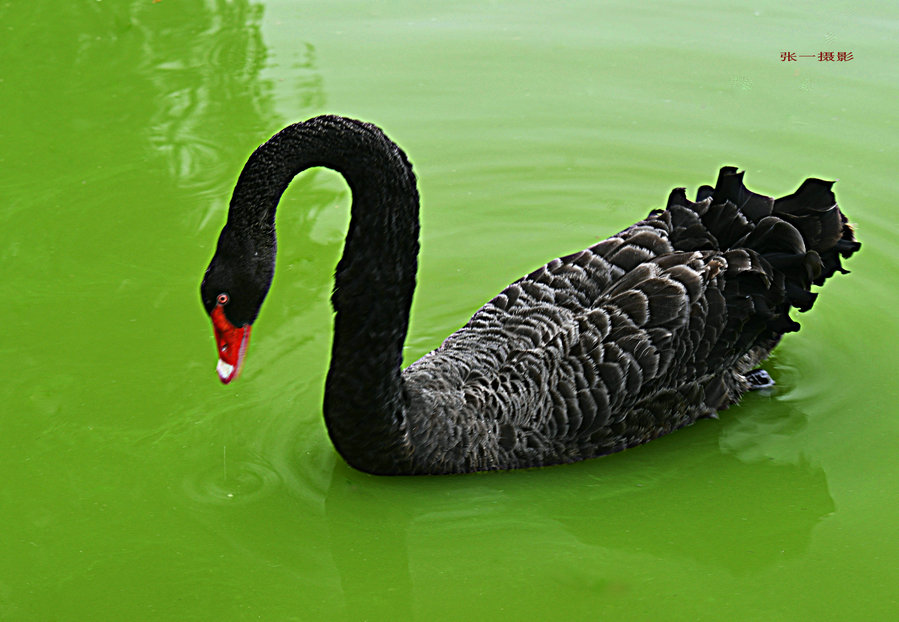 DSC_0698_副本.JPG