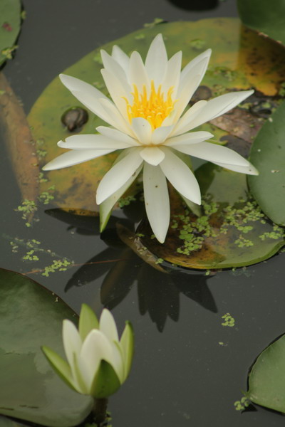 024_调整大小.JPG