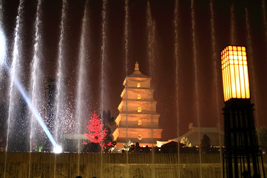 DPP_副本0462.JPG